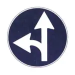 Figura dell’affermazione n° 20204
